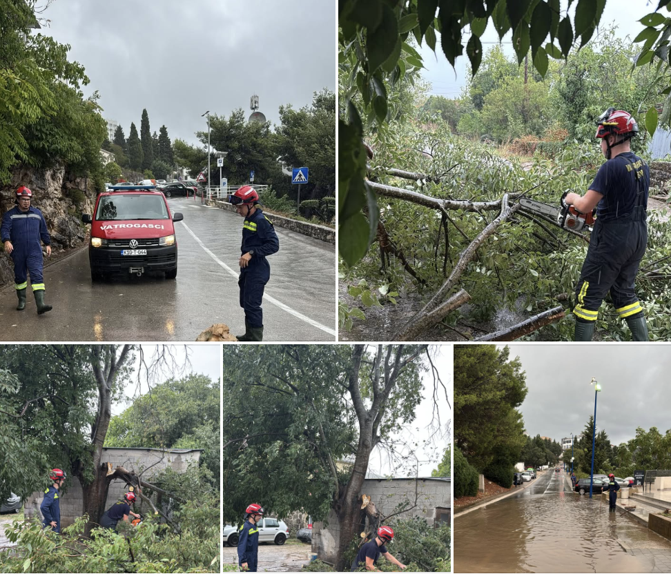 VATROGASCI IMAJU PUNE RUKE POSLA